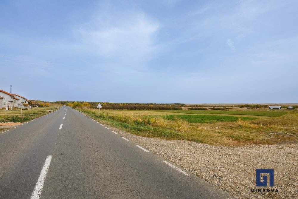 Teren ideal ca investiție, 19000 mp, în Pișchia pe DJ691, comision 0