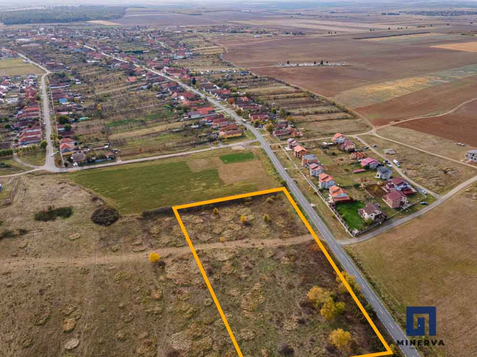 Teren ideal ca investiție, 19000 mp, în Pișchia pe DJ691, comision 0