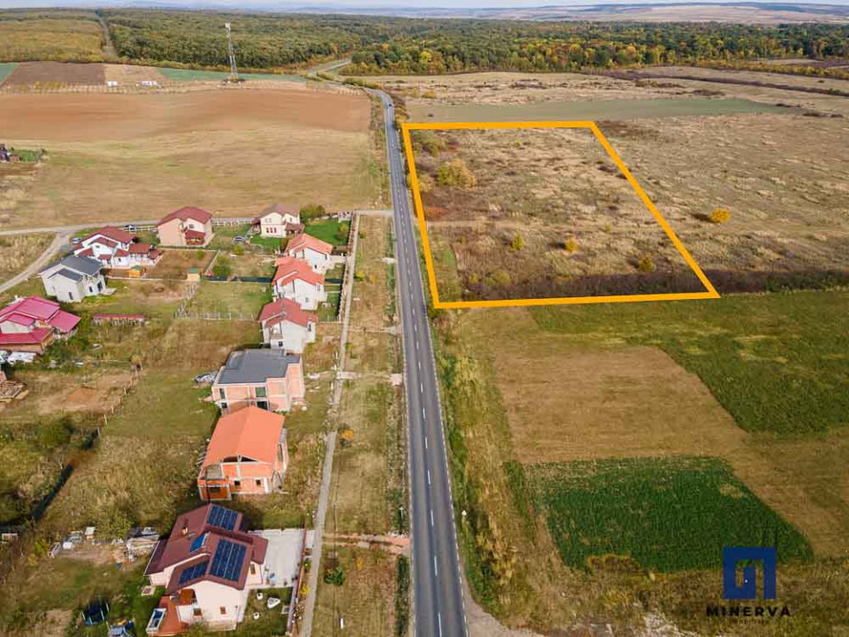 Teren ideal ca investiție, 19000 mp, în Pișchia pe DJ691, comision 0