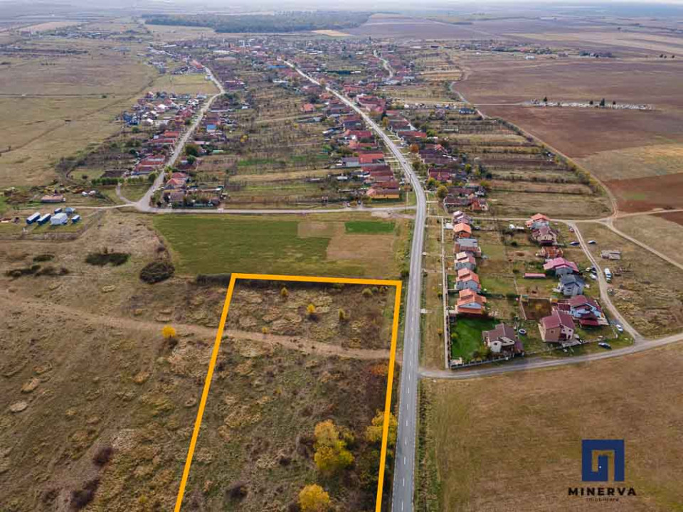 Teren ideal ca investiție, 19000 mp, în Pișchia pe DJ691, comision 0