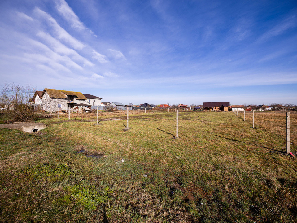 Teren 1028 mp Sanandrei, str. Renasterii – Comision 0%