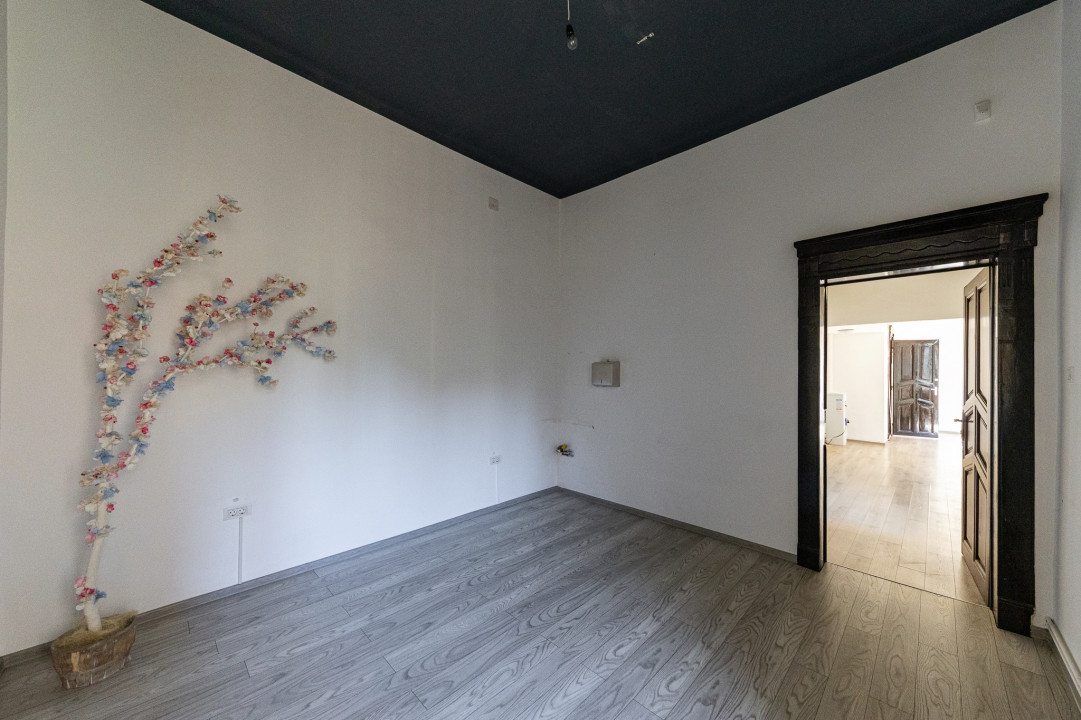 Apartament 196 mp, cu 5 camere, în zona istorică Iosefin - Timisoara