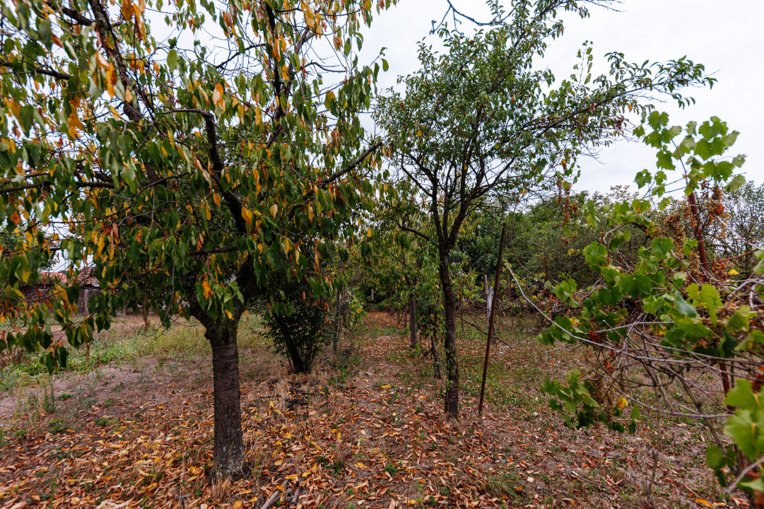 Teren 1.439 mp cu casa batraneasca – Urseni, Vatra Veche