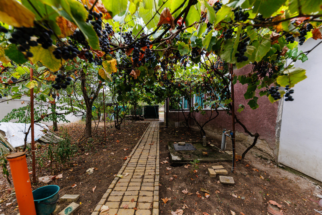 Teren 1.439 mp cu casa batraneasca – Urseni, Vatra Veche