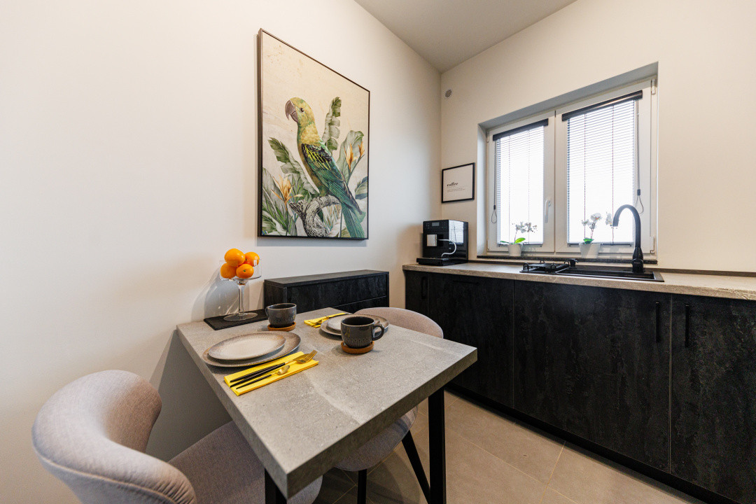 Apartament 2 camere lux, complet utilat, amenajat cu designer, Mehala-Timisoara