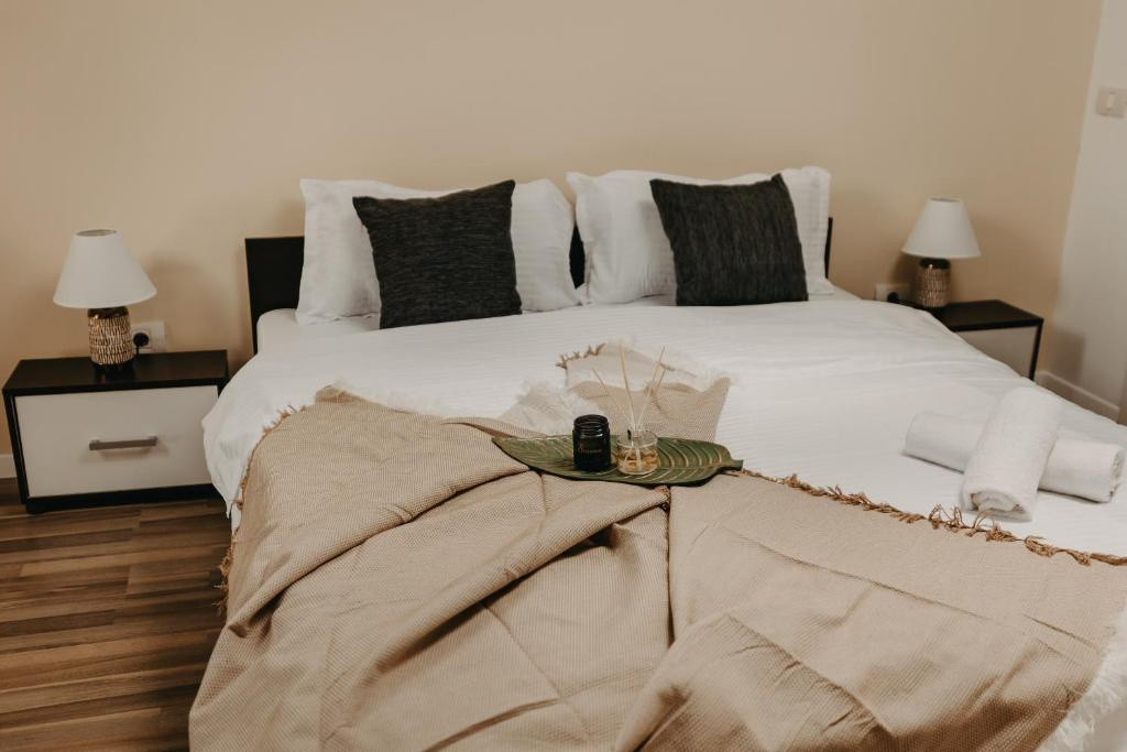 Apartament 3 camere elegant – Centrul Vechi Timisoara - Comision 0