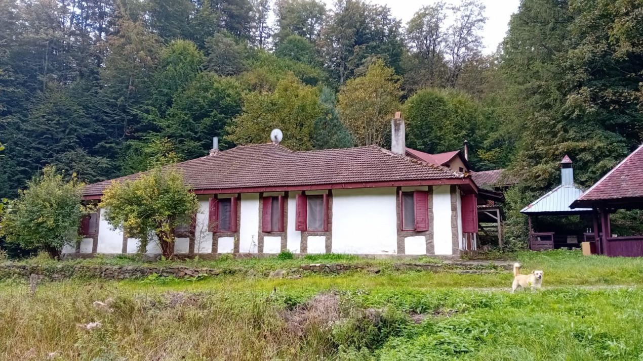 Casa de vacanta Crivaia, langa Valiug –locatie idilica, ideala pentru timp liber