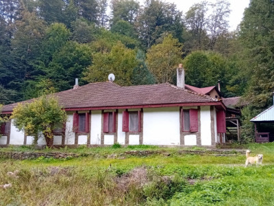 Casa de vacanta Crivaia, langa Valiug –locatie idilica, ideala pentru timp liber
