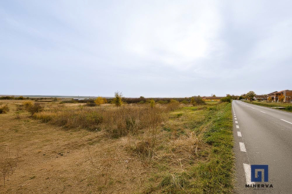 Teren ideal ca investiție, 19000 mp, în Pișchia pe DJ691, comision 0