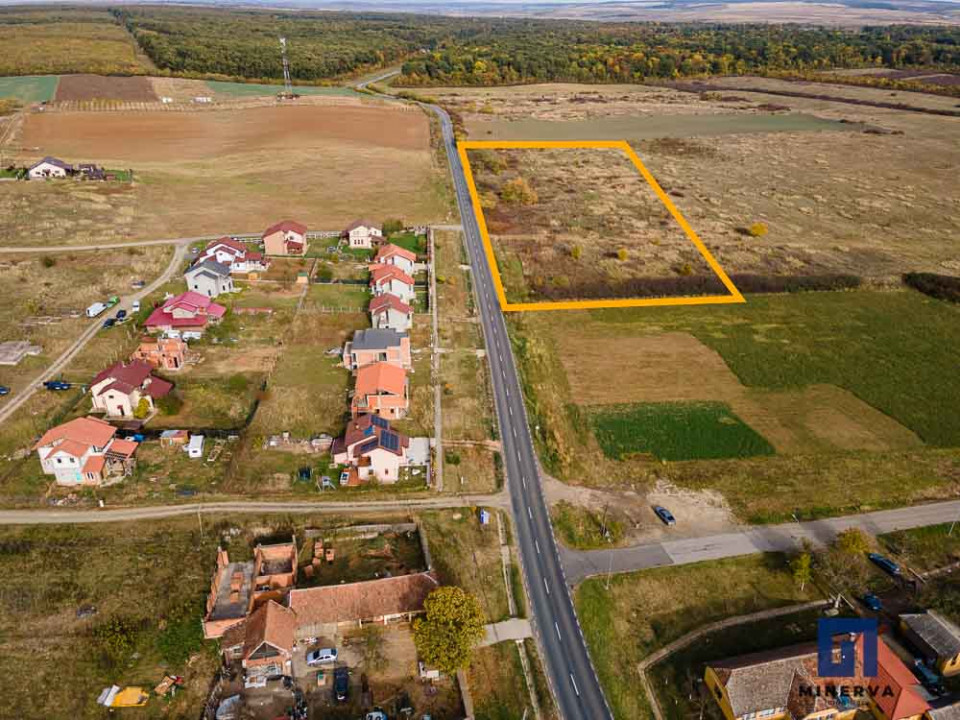 Teren ideal ca investiție, 19000 mp, în Pișchia pe DJ691, comision 0