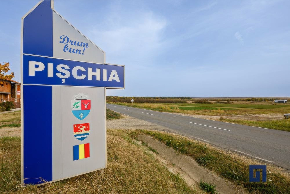 Teren ideal ca investiție, 19000 mp, în Pișchia pe DJ691, comision 0