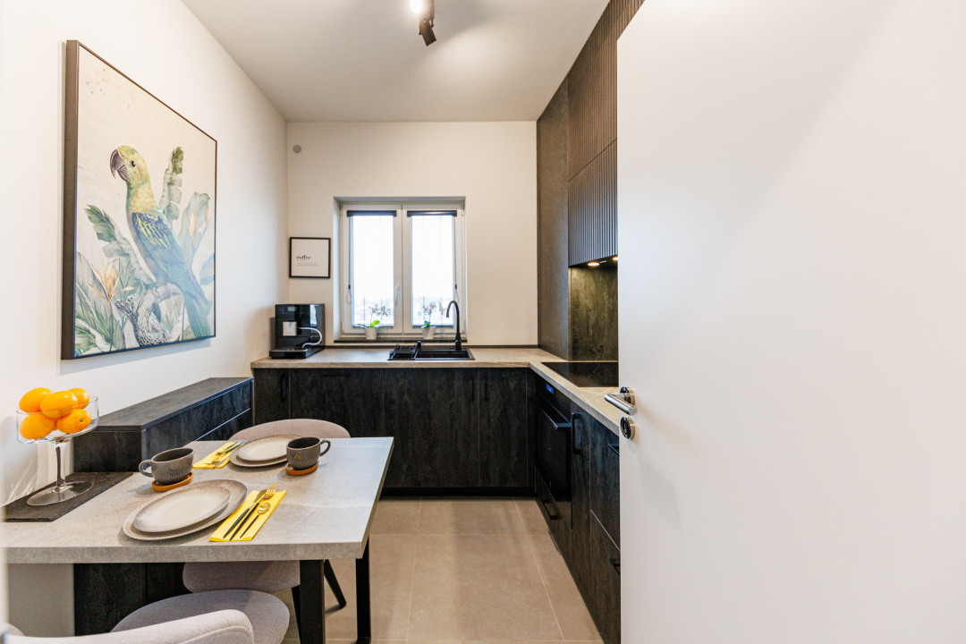 Cel mai frumos apartament cu 2 camere  Mehala-Torontalului, amenajat cu designer