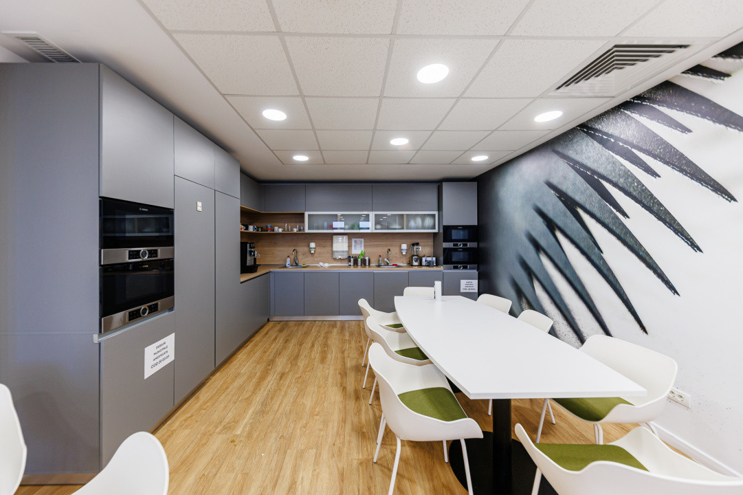 Hala Productie | 3.447 mp | 6904 mp teren | Randament ~9% | Sanandrei-Timis