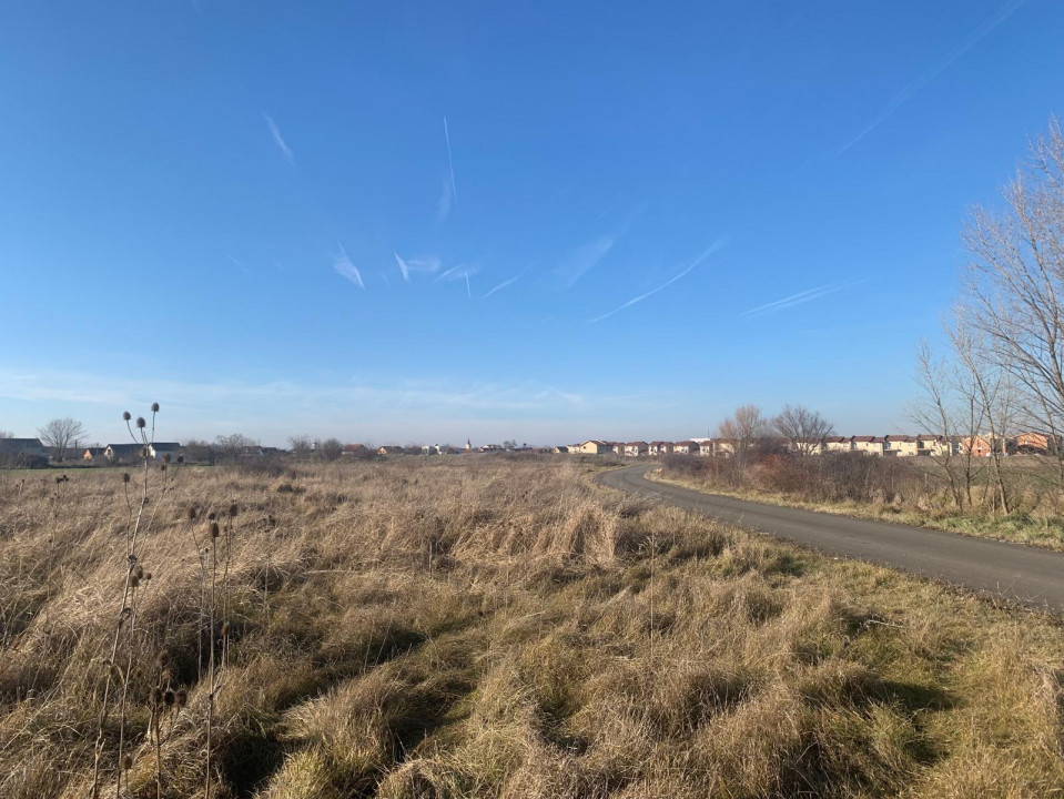 Teren pentru duplex in Sacalaz - 600 mp, in Spatele Cartierului Primaverii