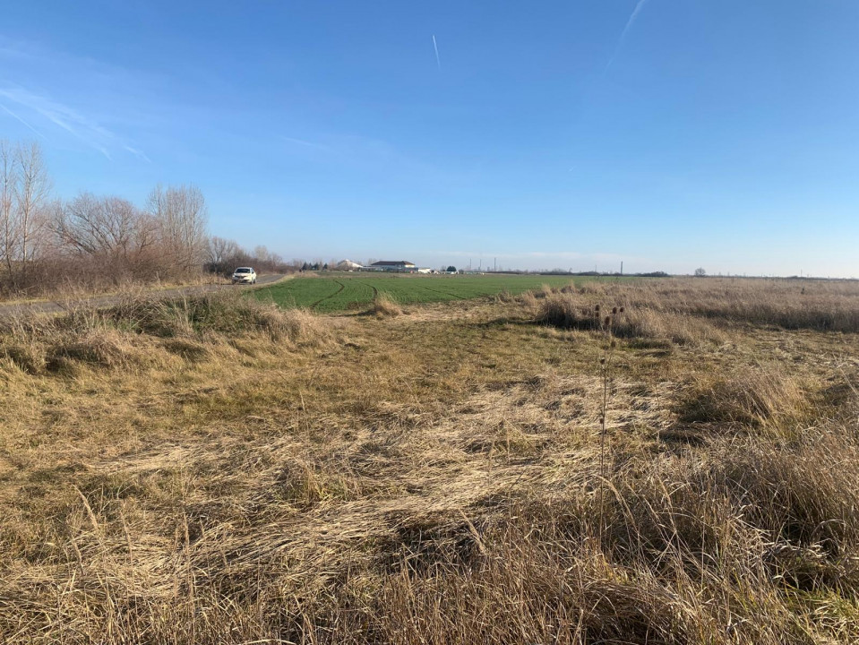 Teren pentru duplex in Sacalaz - 600 mp, in Spatele Cartierului Primaverii