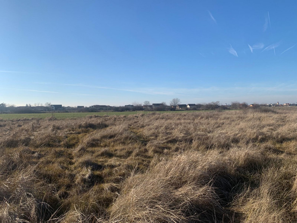 Teren pentru duplex in Sacalaz - 600 mp, in Spatele Cartierului Primaverii