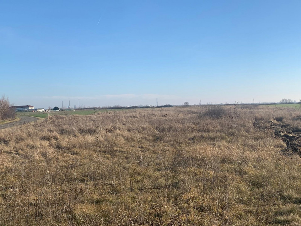 Teren pentru duplex in Sacalaz - 600 mp, in Spatele Cartierului Primaverii