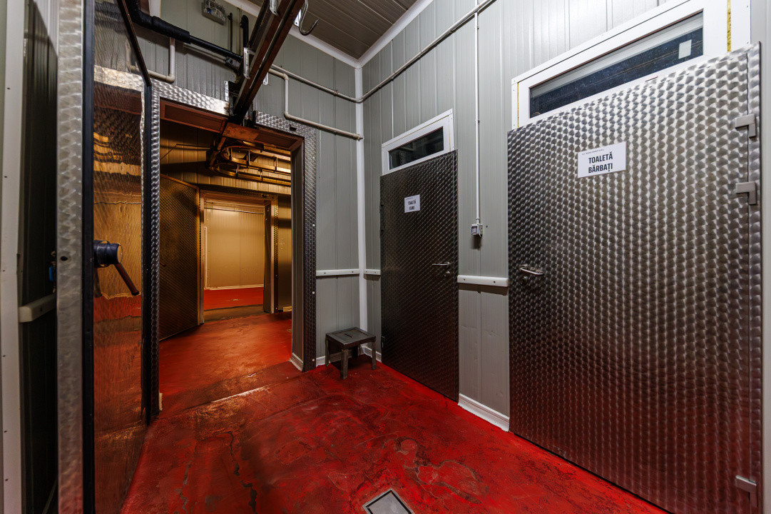 Hala depozitare, Dumbravița Timis, 1285 mp, Farma GDP Medical Cosmetice 6000 Eur