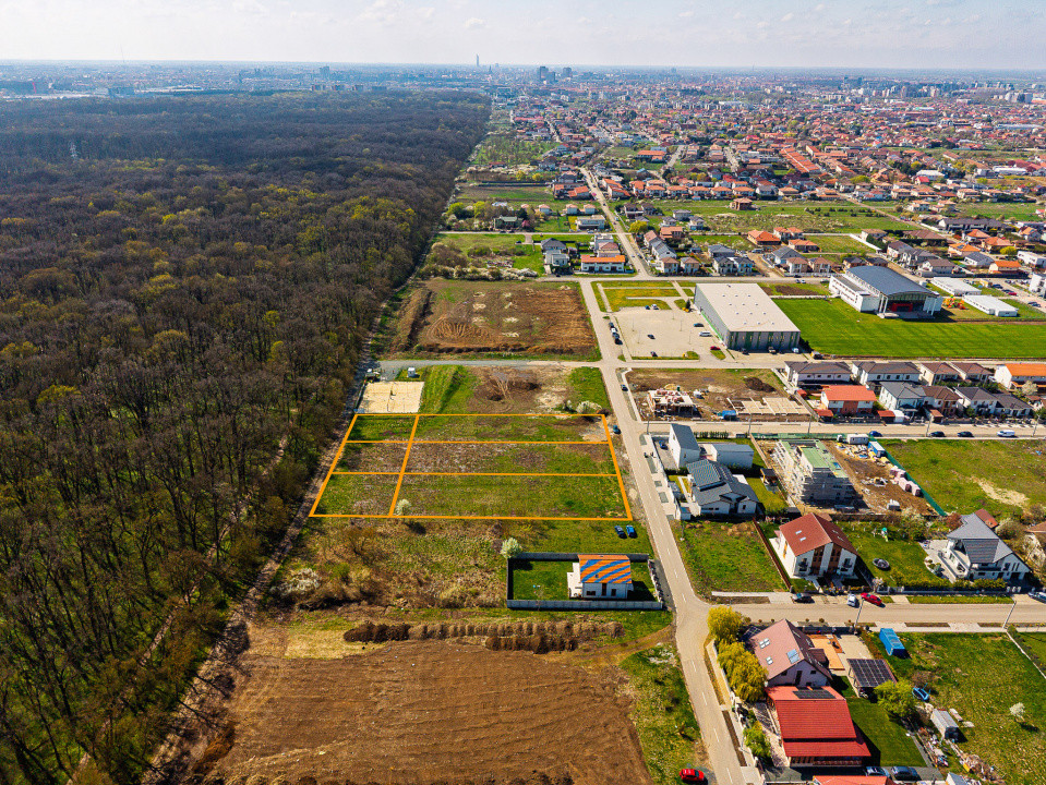 Teren 1.800 mp | Padurea Verde | FS 20 ml | Dumbravita str. Artar | Comision 0