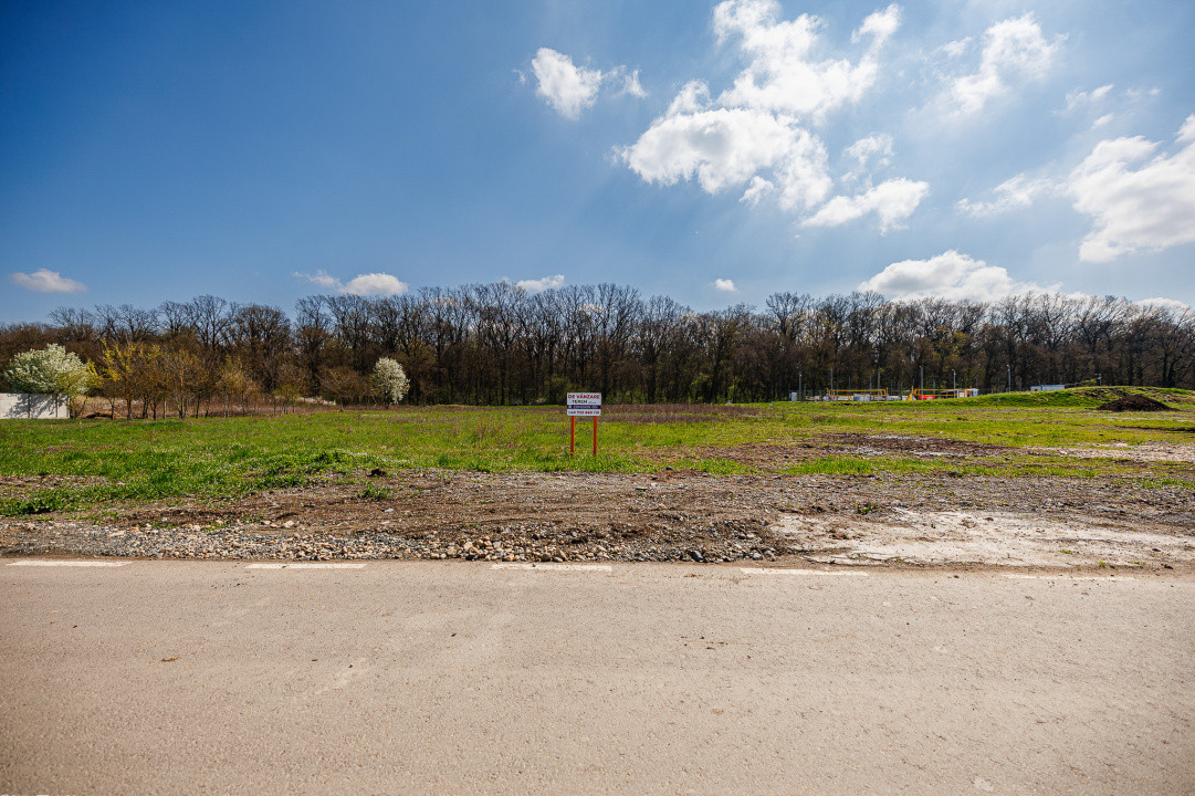 Teren 1.800 mp | Padurea Verde | FS 20 ml | Dumbravita str. Artar | Comision 0