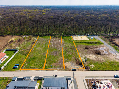 Teren 1.800 mp | Padurea Verde | FS 20 ml | Dumbravita str. Artar | Comision 0