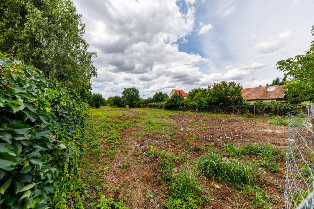 Teren casa individuala, duplex, hotel, clinica-Timisoara, str Gospodarilor